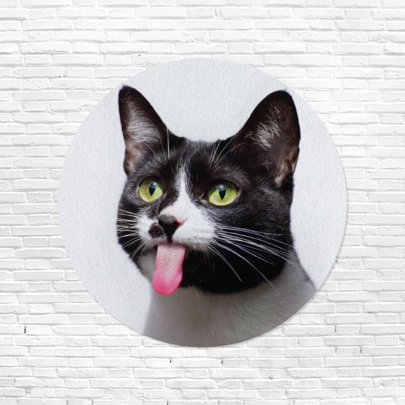 Cat's Tongue Vinyl Slipmat