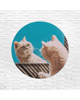 feutrine vinyle chats