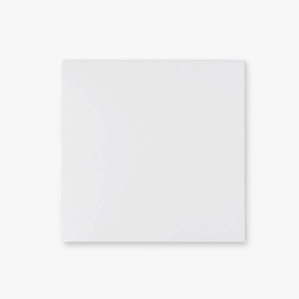 Vinyl Sleeve | 33T White Record Jacket | Feylt