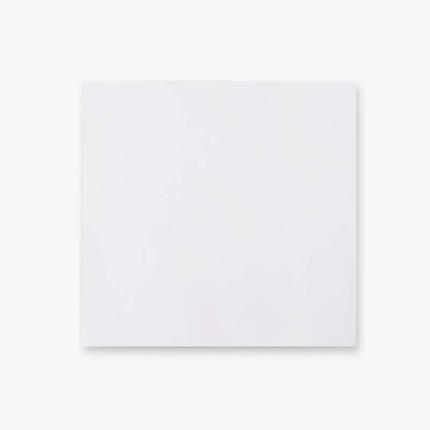Plastic Vinyl Sleeve | 33T Vinyl Record Sleeve | Feylt