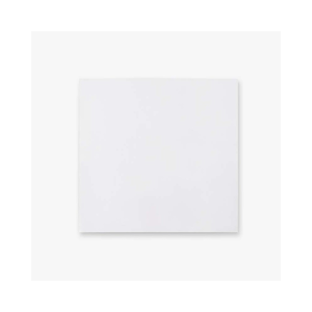 Plastic Vinyl Sleeve | 33T Vinyl Record Sleeve | Feylt