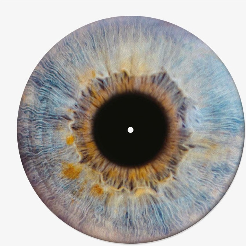 feutrine vinyle rétine