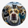 feutrine vinyle chien