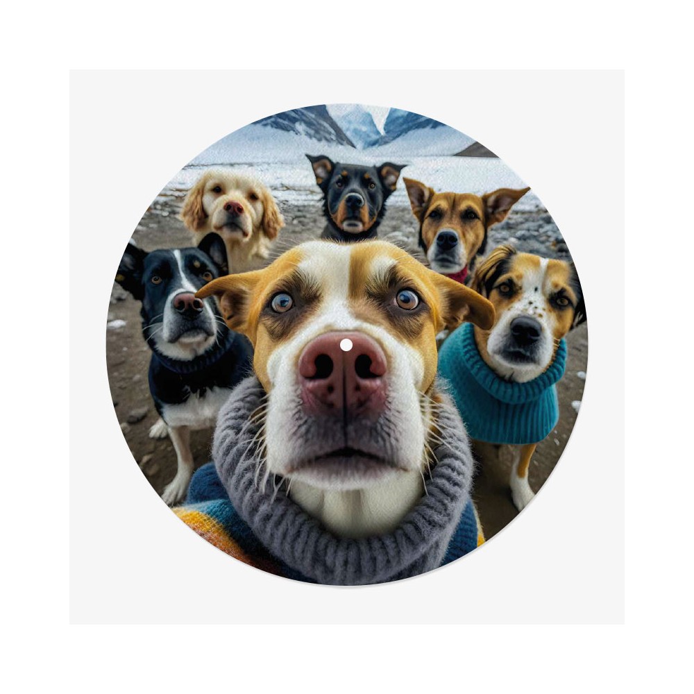 Dog Selfie Vinyl Slipmat | 12" High Quality Slipmat | Feylt
