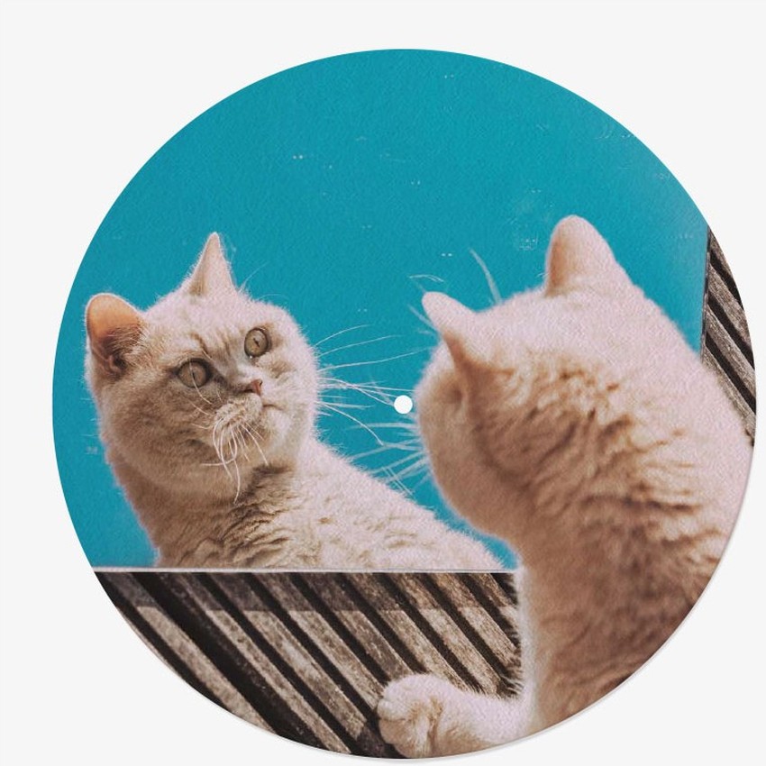 Cat Vinyl Slipmat | Original Slipmat Printed in France| Feylt