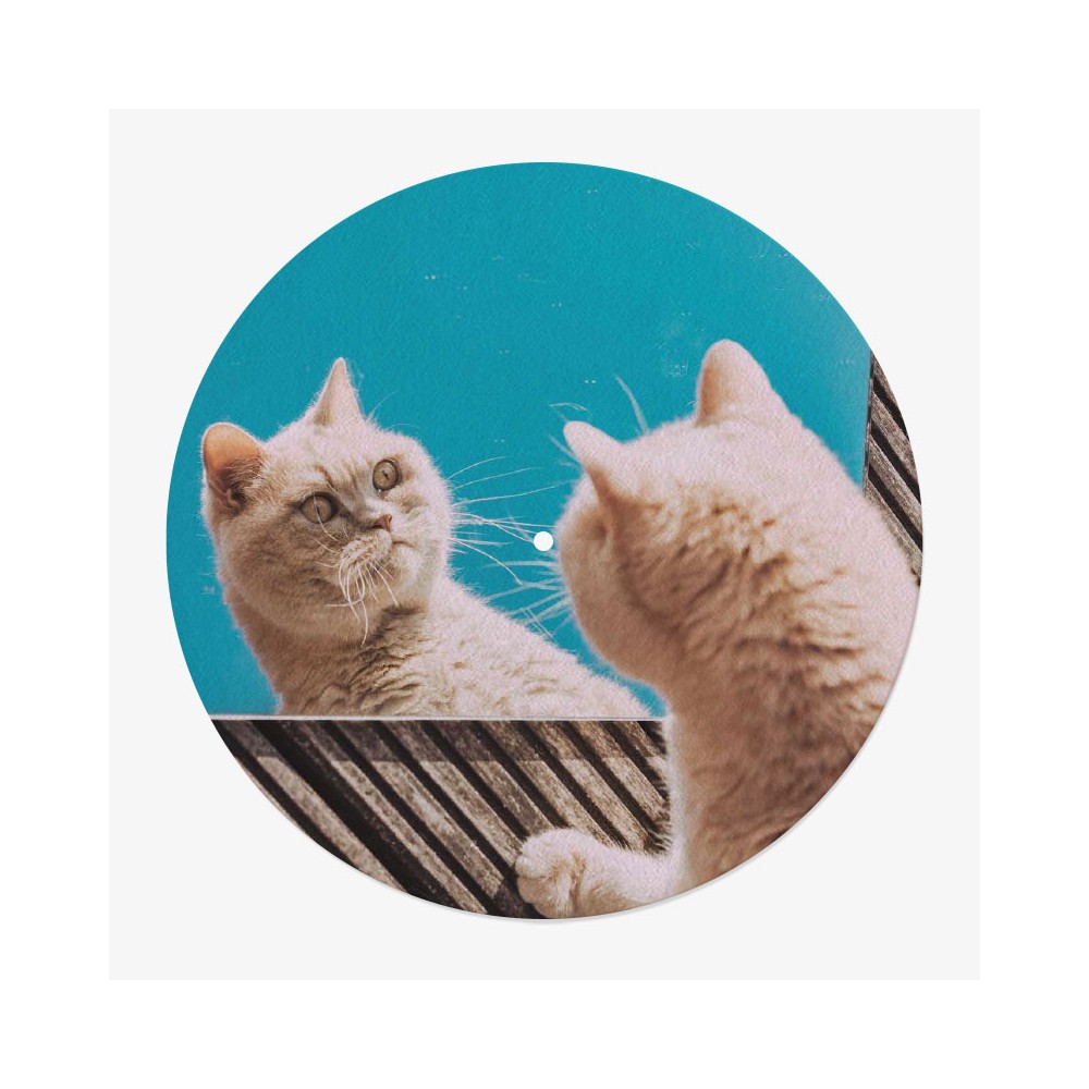feutrine vinyle chats