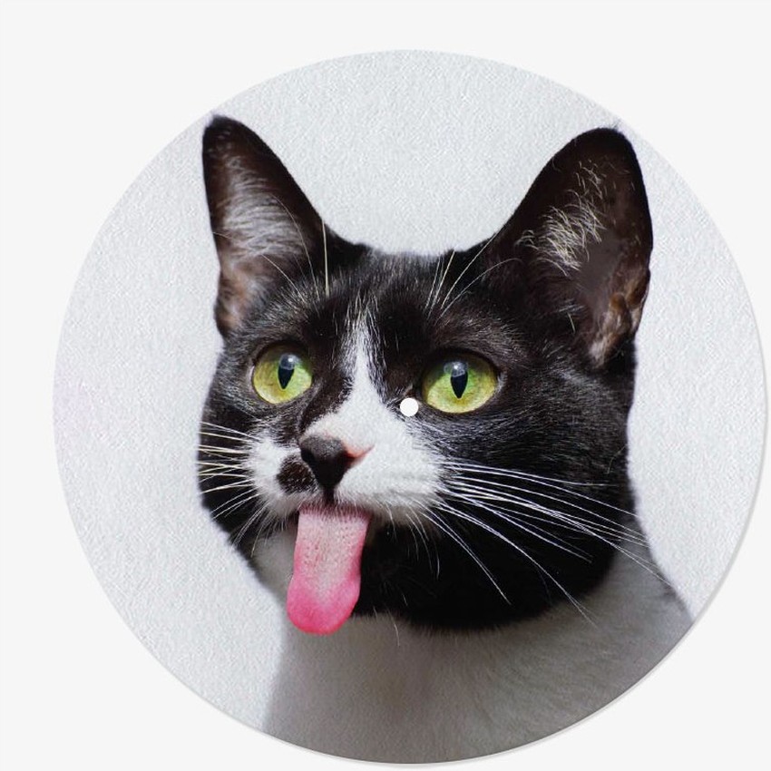 Cat Vinyl Slipmat | 12" Slipmat for Vinyl Turntable | Feylt
