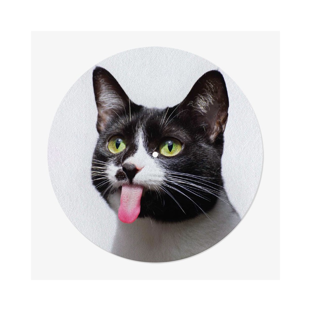 Cat Vinyl Slipmat | 12" Slipmat for Vinyl Turntable | Feylt