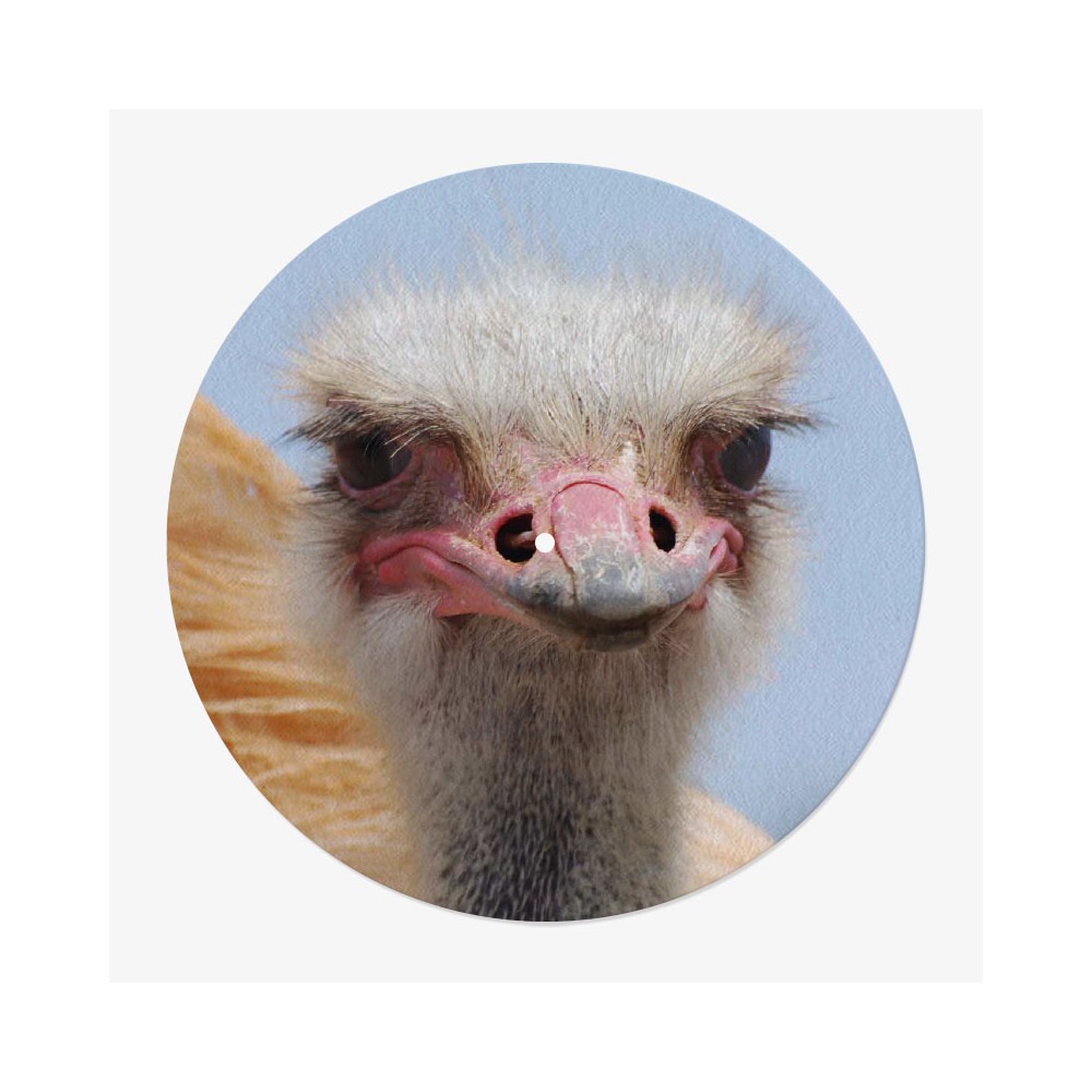 Ostrich Vinyl Slipmat | 12" Original Vinyl Slipmat | Feylt