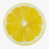 Citrus Vinyl Slipmat | Fun Citrus Slipmat for Vinyl Turntable | Feylt