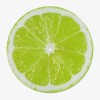Citrus Vinyl Slipmat | Fun Citrus Slipmat for Vinyl Turntable | Feylt